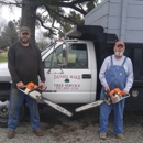 Daniel Hale Tree Service - Tree Service