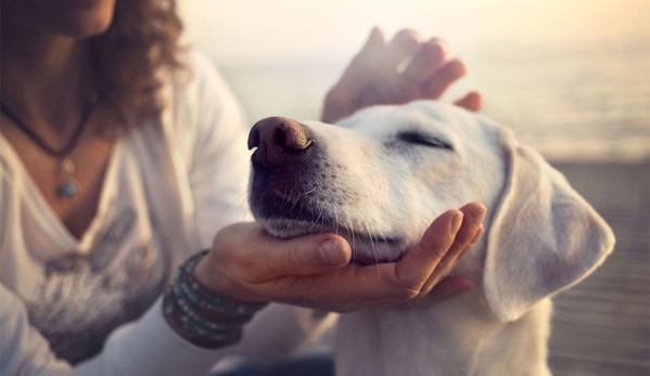 Port Augusta Veterinary Services - Port Augusta, SA