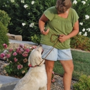 Black Dog Walking and Animal Care - Pet Specialty Services