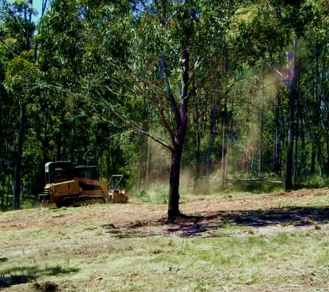 Snowy Monaro Tree Service - Cooma, NSW