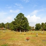 Southern Cremations & Funerals at Cheatham Hill Memorial Park