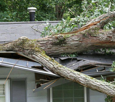 Kennedy Tree Service - Biloxi, MS