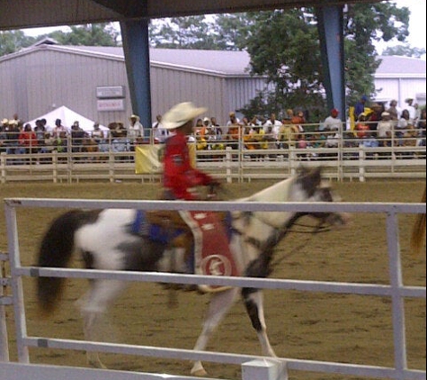 Georgia International Horse Park - Conyers, GA