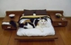 Petznow - Pet Services