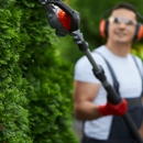 Z Tree Experts - Tree Service