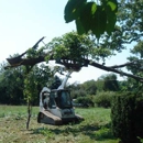 Patrick Musser Tree Service - Arborists