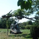 Patrick Musser Tree Service