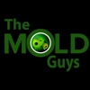 The Mold Guys gallery