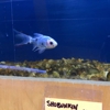 Allan's Aquarium & Pet Center gallery