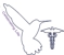 Ballina West Medical Centre - Medical Centres