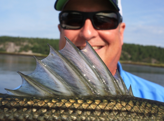 Gillies & Fallon Guide Service - Phippsburg, ME