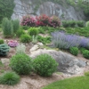 Three D Landscape Architecture LLC gallery