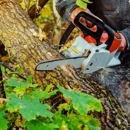 Real Mountain Tree Service - Tree Service