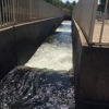 Feather River Fish Hatchery gallery
