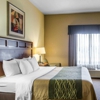 Comfort Inn & Suites gallery