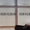 Salon Delonjay gallery