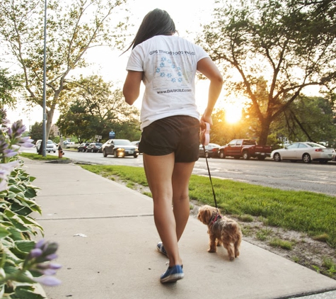 BarkBud Dog Walkers - New York, NY