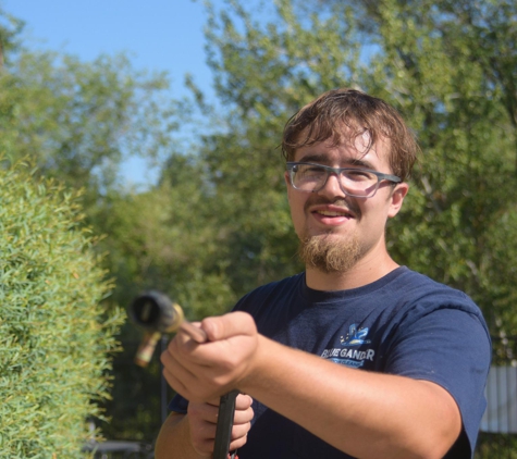 Blue Gander Window Cleaning - Boise, ID