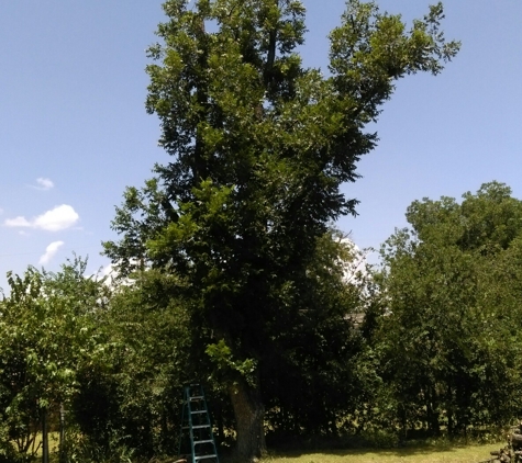 B&M TREE SERVICE - San Angelo, TX. After