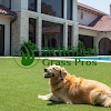 Artificial Grass Pros gallery