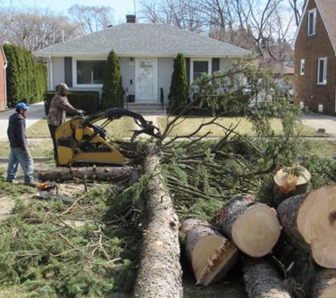 Flight Tree Service Inc