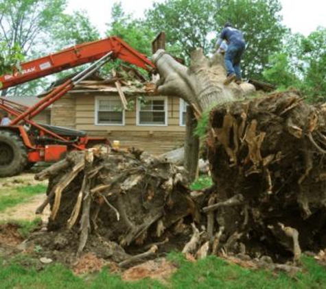 Cumming Tree Care - Cumming, GA