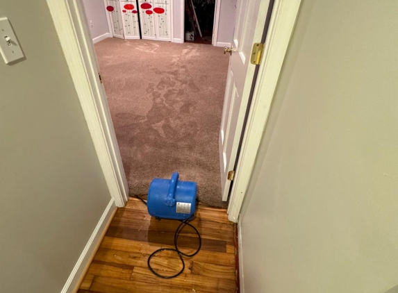 Flood Damage Pro - Washington, DC