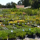 Flowerland Nursery - Nurseries-Plants & Trees