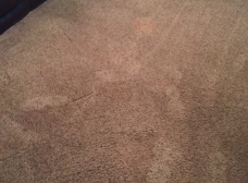 Stanley Steemer Carpet Cleaner Lawton Ok 73501