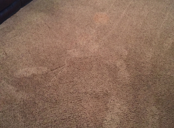 Stanley Steemer Carpet Cleaner - Lawton, OK. West living room area