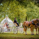 FRITZ FARM CARRIAGE SERVICE