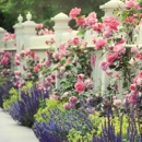 Designs By Evergreen Inc - Landscape Designers & Consultants