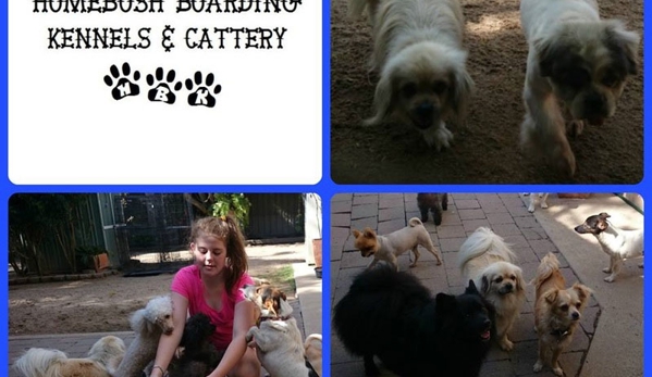 Homebush Boarding Kennels & Cattery - Homebush, QLD