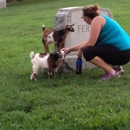 Red Lion Cemetery - Cemeteries