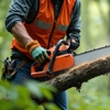 Master Tree Services Inc gallery