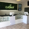 Curaleaf Dispensary Palm Bay gallery