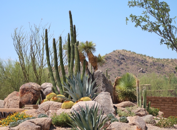 Eclipse Landscape & Design - Scottsdale, AZ