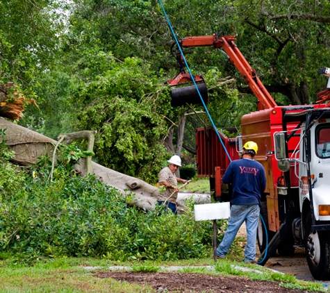 Chop Chop Tree - Austin, TX