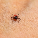 E-ZPest Control - Pest Control Equipment & Supplies