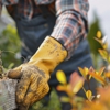 Green View Tree Service gallery