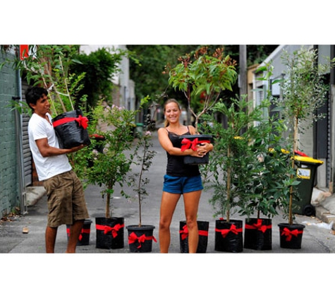 City of Sydney - Ultimo Children's Program