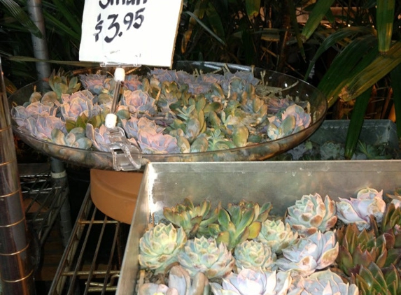 Cut Flower Wholesale Inc - Atlanta, GA