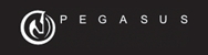 Pegasus Studios Logo