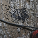 General Pest Control - Pest Control Equipment & Supplies