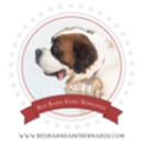 Red Barn Saint Bernards - Pet Breeders