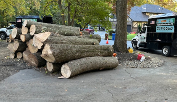 PA Triple A Tree Service - Feasterville-Trevose, PA