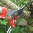 Tree service Arlington