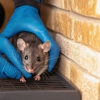 Evolve Pest Control gallery