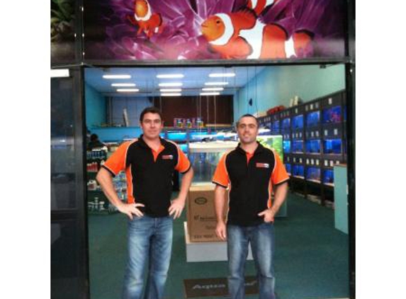Fishtank Aquarium - Castle Hill, NSW