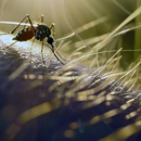 Amazing Pest Control - Pest Control Equipment & Supplies
